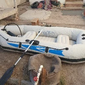 lotka