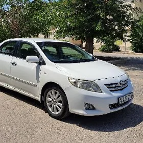 Toyota Corolla 2008