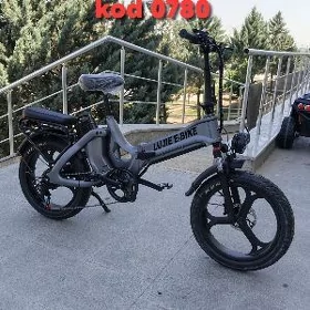 TIGIR SAMAKAT BASEYKA BATUD