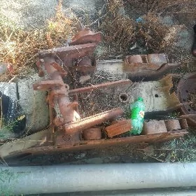 mtz zapjas