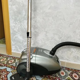 Plesos