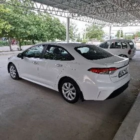Toyota Corolla 2024