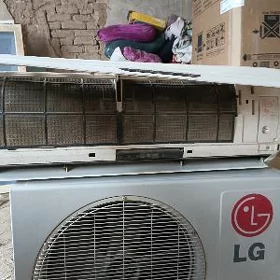 Lg12 lik