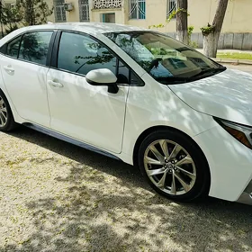 Toyota Corolla 2024