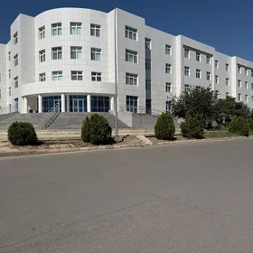 uborka tamizci