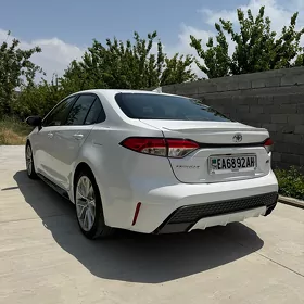 Toyota Corolla 2021