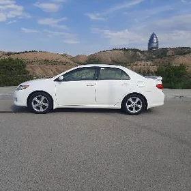 Toyota Corolla 2008