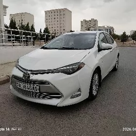 Toyota Corolla 2019