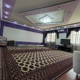Anew 6 Sotuk Plan Arzan