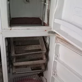 inkubator inkebatyr enkebatyr