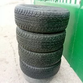 285.60.18 dunlop