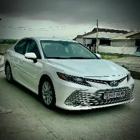 Toyota Camry 2020