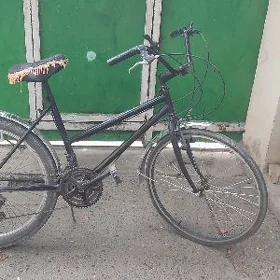 tigir welosepid gyssagly 24lik