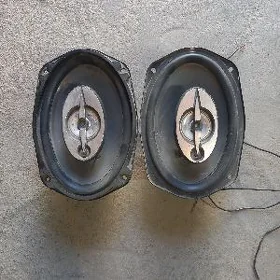 kolonka pioneer