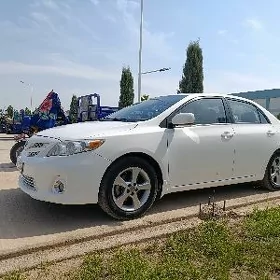 Toyota Corolla 2011