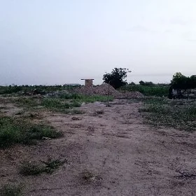 меллек