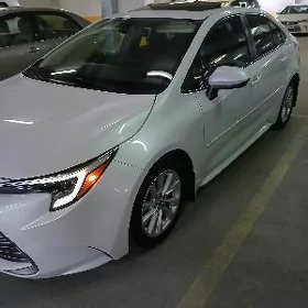 Toyota Corolla 2023