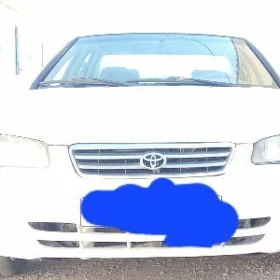 Toyota lisicika saylari