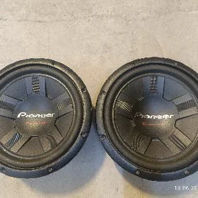 Pioneer cerepaha 1000w
