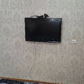 8mkr kw 1kom bez hazayka