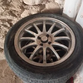 17 sıska opil