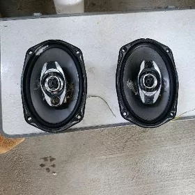 Pioneer kalonka