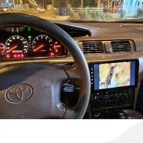 tizlik datcyk lisiçka babycga