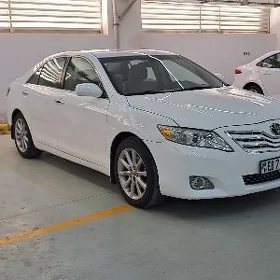 Toyota Camry 2010