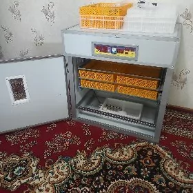 inkubator