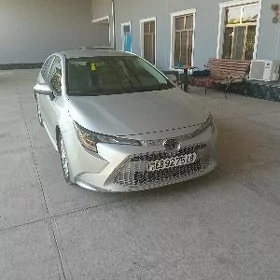 Toyota Corolla 2022