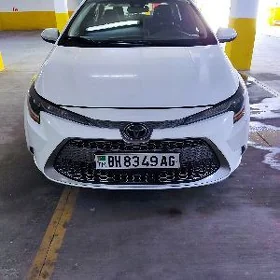 Toyota Corolla 2021