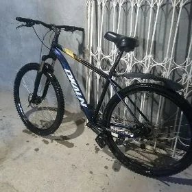 Sportiwny tigir