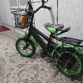 Tigir arassaja kem zady yok
