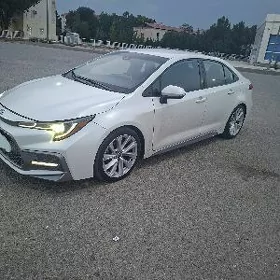 Toyota Corolla 2021