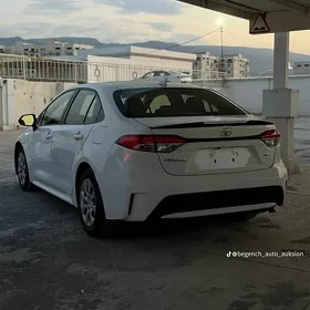 Toyota Corolla 2022