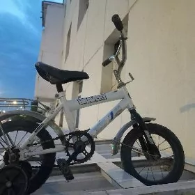 bmw tigir