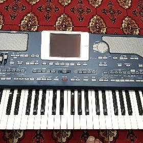 pa800