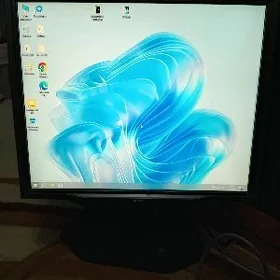 Monitor