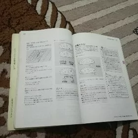 Toyota Carina kitaby.