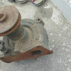 maz pompa