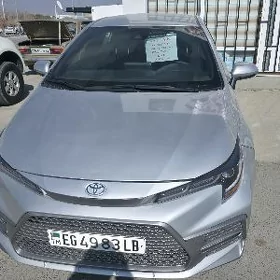 Toyota Corolla 2023