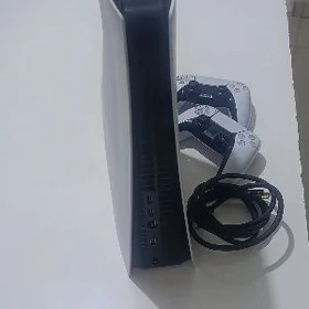 Ps 5 fat