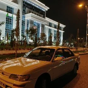 Toyota Corolla 1993