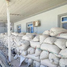 şaly nuks