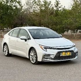 Toyota Corolla 2023
