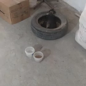 kürk ınduk