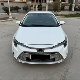 Toyota Corolla 2024