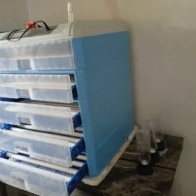 İNKUBATOR