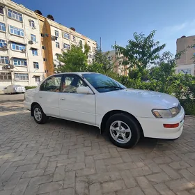 Toyota Corolla 1995
