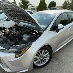 Toyota Corolla 2020